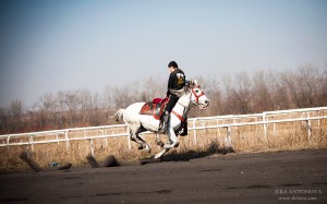 IMG_5471s