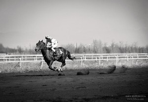IMG_5495s